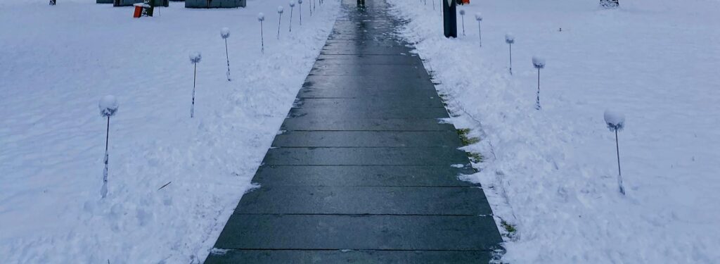 A peaceful winter scene featuring a snow-covered pathway lined with bare trees.