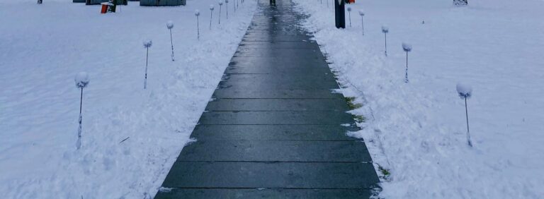 A peaceful winter scene featuring a snow-covered pathway lined with bare trees.