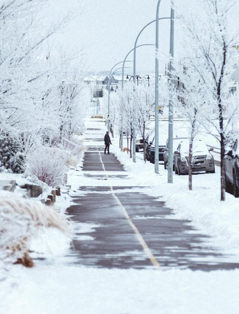A serene winter cityscape featuring a snow-covered street lined with frosty trees and parked cars, with one person walking.